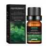 Aceite de Masaje de Aceite Vegetal de Fuente Local Aceite Esencial Suave e Hidratante Superventas Transfronterizo Aceite de Masaje Corporal 10ml