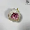 Estoque Disponível Fornecimento Cabeça de Flor de Peônia 9cm Decoração de Caixa de Presente DIY Transfronteiriça Parede de Flores de Casamento Decoração de Fotografia Doméstica