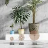 Barra protectora de tierra para macetas anti-gato y perro anti-vuelco para bebés protección anti-salpicaduras para niños bonsai aguja afloja-tierra cubierta de red protectora hueca