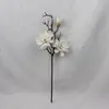Cinta simulada serie blanca EVA textura 3D impresa con magnolia, phalaenopsis y gladiolo para decoración de arreglos florales de boda