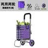 Carrito de Compras Plegable para Uso en Casa, Carrito de Mano Portátil Ligero, Carrito de Compras Pequeño Portátil Engrosado, Carrito Ahorrador de Esfuerzo para Personas Mayores