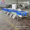 Máquina clasificadora automática por peso máquina seleccionadora de frutas máquina tamizadora vibratoria de frutas y verduras equipo de pesaje y clasificación de mariscos