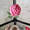 Flor Artificial de Peônia Única Flor de Peônia Embalada Estilo Europeu Arranjo de Flores Balde da Fortuna Acessórios de Flores para Mesa de Casa Dropshipping Transfronteiriço