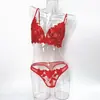 Sujetador sexy ultra-delgado de encaje floral tridimensional bordado para senos grandes para que parezcan más pequeños lencería erótica transfronteriza