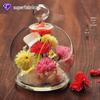 DIY criativo transparente eterna flor vidro cobrir moda decoração de casa micro vaso paisagem