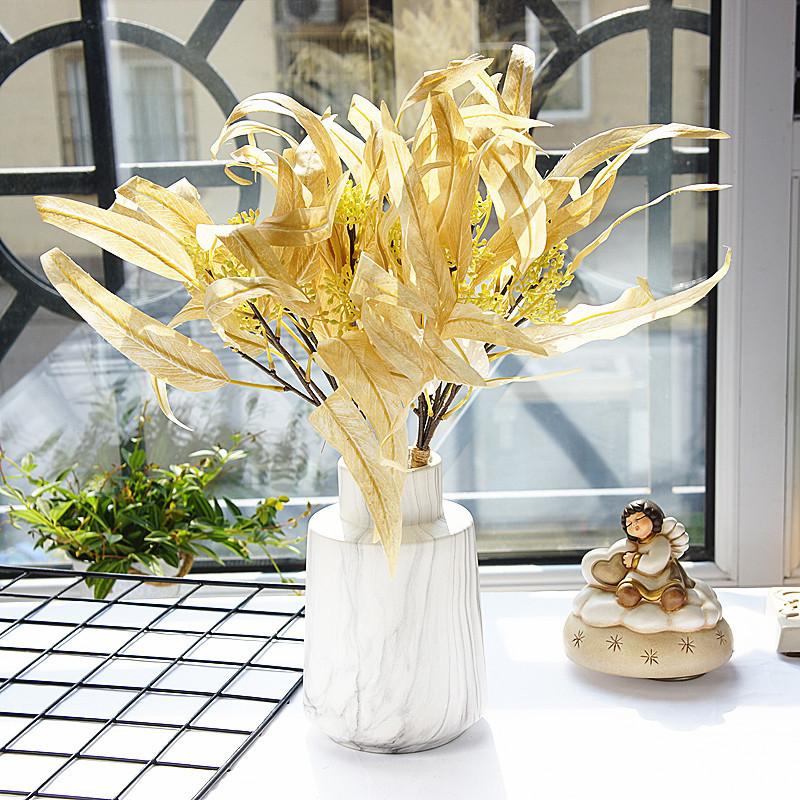 带果弯叶尤加利