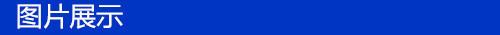 图片展示