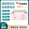 Batería Yuasa Np65-12 12V65Ah de Ácido-Plomo Regulada por Válvula para Alimentación Eléctrica de UPS de Sala de Servidores