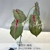 Plantas Artificiales Verdes, Decoración de Salón de Bodas Estilo Bosque, Flores Falsas, Flores Artificiales para Bodas, Plantas de Hojas Artificiales, Pared de Flores