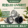 Foco Led Suplemento de Calcio UVB para Dragones Barbudos y Tortugas, Luz Fría sin Calor de 3W, Base de Rosca E27, Iluminación para Reptiles, Venta al por Mayor de Exportación