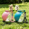 Botella de agua portátil para mascotas, taza de viaje para perros, botella de agua plegable transparente, dispensador de agua universal para gatos y perros, forma esférica
