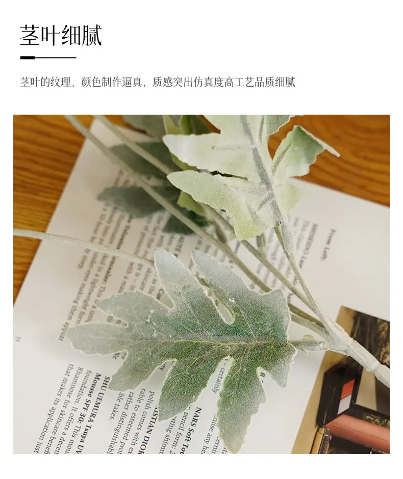 千羽4头发财菊_15.jpg