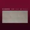 Baldosas Doradas para Peldaños de Escaleras para Casas de Autoconstrucción y Villas, Baldosas para Peldaños Integradas con Borde Curvo y Ranuras Originales, Baldosas Antideslizantes para Peldaños de Escaleras