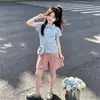 Conjunto Esportivo Casual Feminino, Estilo Verão Fino, Estilo Coreano, Gola Polo Personalizada, Manga Curta, Shorts Modernos, Conjunto de Duas Peças