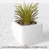 Suculentas Simuladas Personalizadas Cerámica Bonsái Plantas Verdes Escandinavas Adornos Hogar Interior Sala de Estar Flores Falsas Suculentas Plantas en Maceta