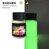Polvo Luminoso Fluorescente de Alto Brillo de Larga Duración de 12 Colores Transfronterizo Polvo Fluorescente Pigmento Luminoso Aceitoso para Manualidades con Resina Epoxi DIY 20g