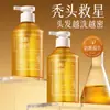 Champú Babao Ge Hoja de Ciprés de Hinoki, Jengibre y Fallopia Multiflora Anti-Rotura del Cabello, Limpieza Profunda, Control de Grasa, Voluminizador, Champú Anti-Caída del Cabello