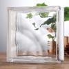 Ladrillo de Vidrio Super Blanco Ladrillo de Cristal Transparente Cuadrado Pared Divisoria Baño Internet Rojo Arte Sólido Hueco Patrón de Hielo