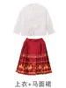 Ropa de Desempeño para Coro Infantil, Ropa de Desempeño de Animación para Estudiantes de Primaria, Faldas de Cara de Caballo Estilo Chino Dinastía Han para Niños