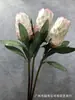 Impresión 3D de Simulación Longevidad Fruta Planta Tropical Flor Imperial Flor de Princesa de Sudáfrica Decoración de Boda Decoración del Hogar