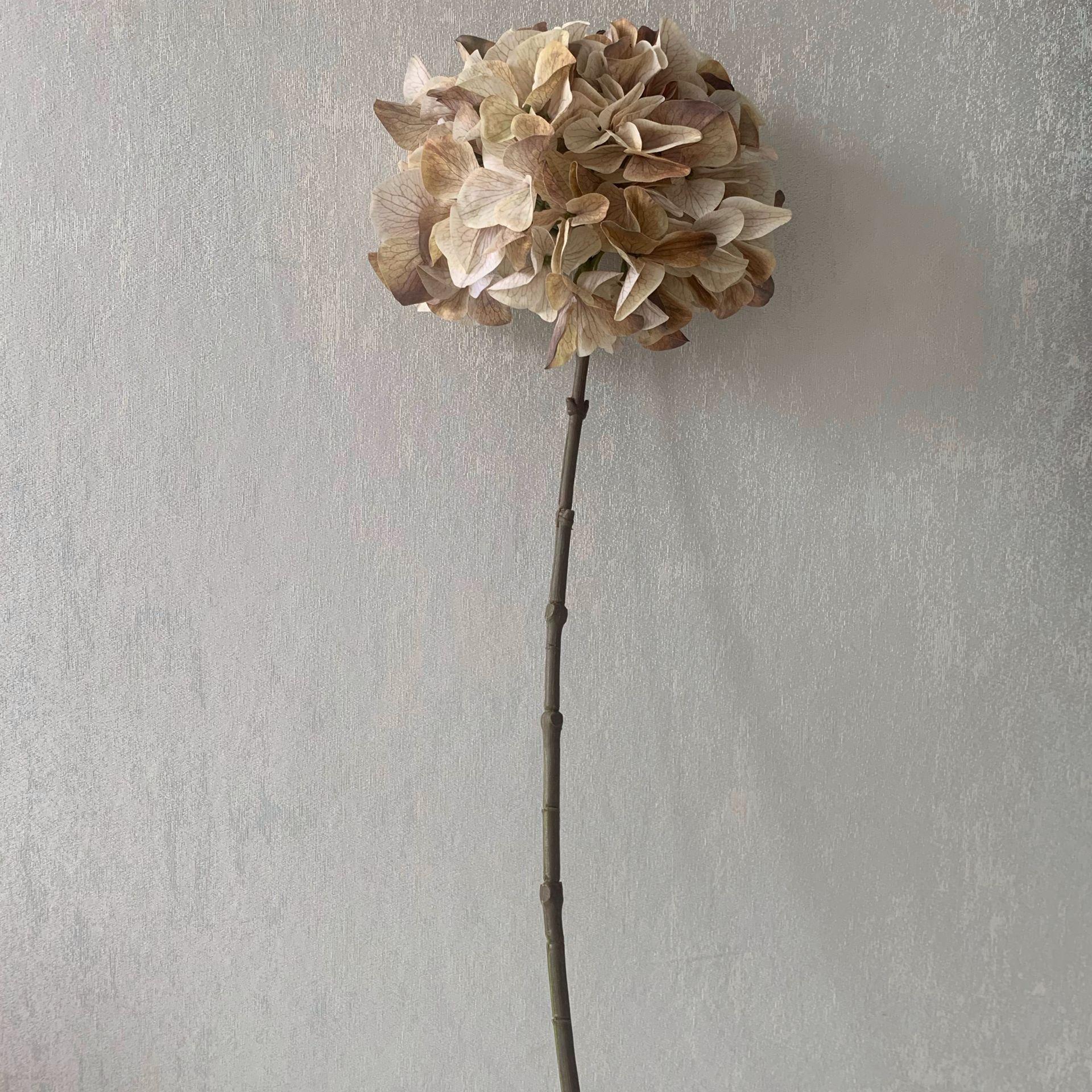 QQ图片20200426122201