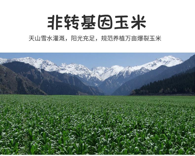 玉米_05.jpg