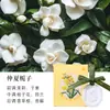 Adornos Colgantes de Yeso para Aromaterapia, Regalo para el Hogar Importado para Armarios y Tocadores, Fragancia para Coche, Incienso de Yeso Gardenia Blanca