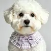 Toalla Saliva Mascota Transfronteriza, Babero Gato, Moño, Adorno de Encaje, Accesorios Perro, Bufanda, Venta al por Mayor Fabricante