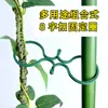 Grampos para Videira de Tomate, Anéis de Fixação Não Danificantes para Videira de Pepino, Grampos Plásticos para Jardinagem em Estufa