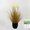 Simulação Reed Artificial Reed Grass Atacado Planta Falsa Shopping Decoração para Casa Cebola Dog Tail Grass Simulação Planta Verde