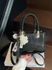 Bolso de Mano de Moda para Mujer 2025 Nueva Moda de Alta Gama Elegante Hombro Cruzado Pequeño Cuadrado