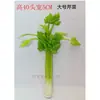 Modelo de Verdura Simulada Lechuga Falsa Repollo Brócoli Hojas Verdes Hojas de Shanghái Modelo de Gabinete Decoración para Casa