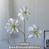 Flor Artificial Magnólia Impressa em 3D Decoração de Cena de Casamento Casa Hotel Enfeites de Mobiliário Suave Atacado Transfronteiriço Flores Artificiais