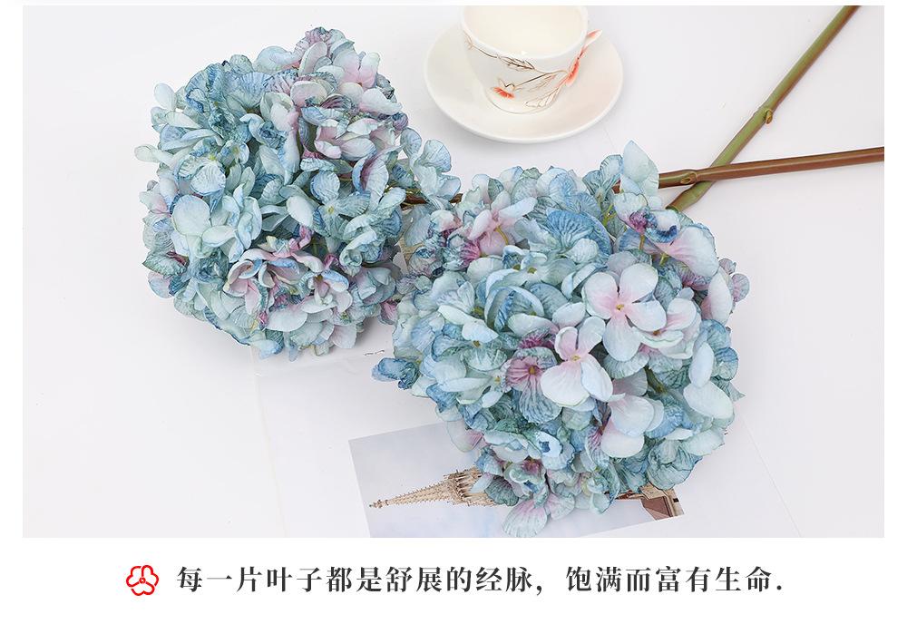 124.希腊绣球大枝_09.jpg