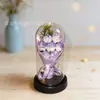 520 Día de San Valentín Flor Eterna Recargable Ramo de 7 Rosas con Flores Secas, Gypsophila, Figuras de Pareja Iluminadas y Adornos