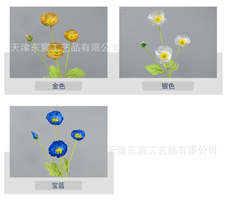 详情_05.jpg