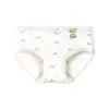 Ropa Interior de Algodón Puro para Niñas 10A, Entrepierna Antibacteriana, Amigable con la Piel, Transpirable, Cintura Media, Ajustada a la Cadera, Elástica, Estampado Dulce, Calzones de Algodón para Mujer
