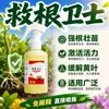Prevenção de Podridão das Raízes Tipo Universal Suculenta Planta Verde Flor Planta em Vaso Prevenção e Controle Podridão das Raízes Morte da Planta Fungicida para Podridão das Raízes