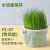 Plantas de Hierba para Gatos de Sensen Manufacturer, Hidropónicas sin Suelo, Hierba para Gatos Fácil de Cultivar para Personas Perezosas, Snacks para Gatitos, Hierba para Gatos Lista para Comer