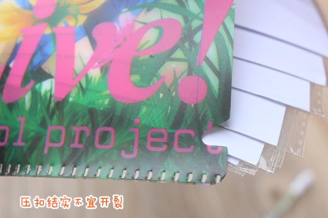 动漫文件夹细节图 (5)