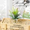 Flor Suculenta Cabeça de Abacaxi DIY Parede de Plantas Suprimentos Acessórios Flor Jinhua Fabricante Fornecimento Direto Flores Artificiais de Plástico