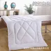 Núcleo de edredón para cama de belleza cama de masaje SPA salón de belleza núcleo de edredón especial engrosado cálido otoño e invierno núcleo de edredón al por mayor