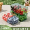 Caixa de Armazenamento de Cozinha Transparente de Camada Dupla para Cebolas, Gengibre, Alho e Grãos, Caixa de Armazenamento para Conservação na Geladeira, Caixa Portátil de Alta Aparência para Lanches e Frutas ao Ar Livre