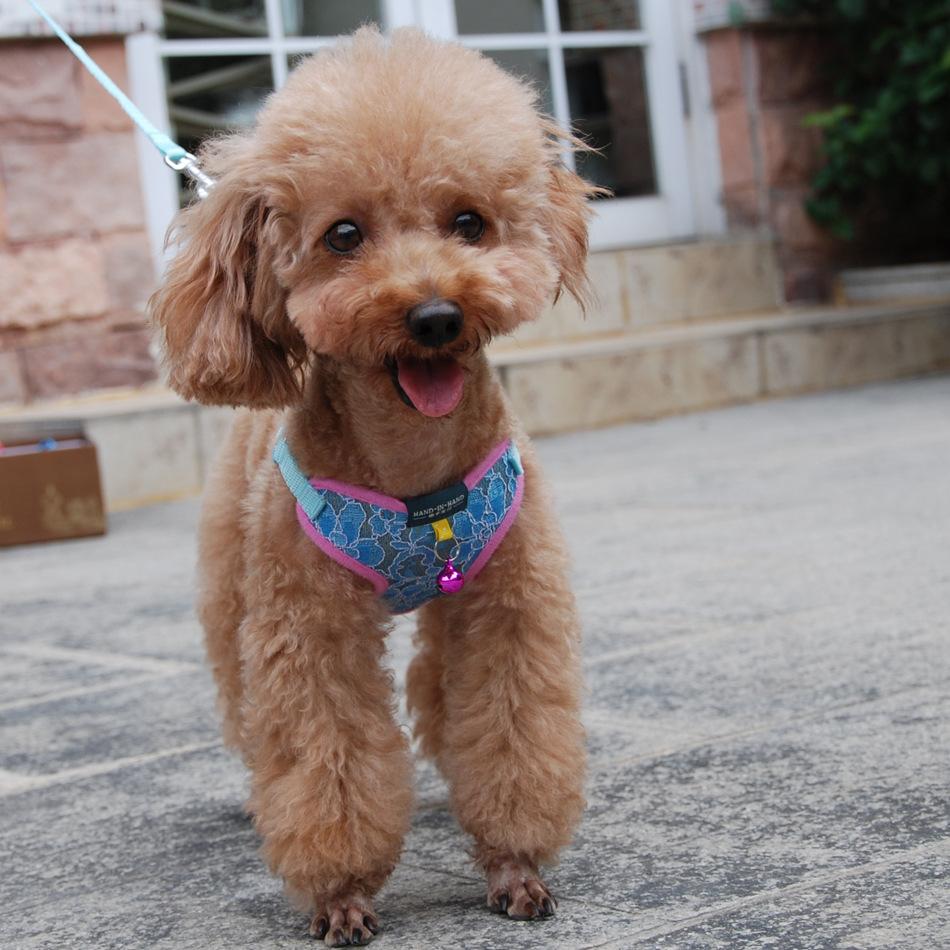 pet products harness vest mesh