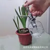 Suministro de fábrica regadera regadera botella de vidrio transparente regadera para plantas estilo pastoral utensilios de riego para jardín
