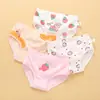 Ropa Interior Infantil Algodón Puro Clase A Ropa Interior para Bebés Niñas Cintura Media Pequeño, Mediano y Grande Pantalones Cortos Infantiles Verano Venta Directa de Fábrica Venta al por Mayor