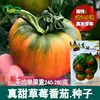 Sementes de Tomate Morango Muito Doces, Horta de Fazenda Polpa Grossa, Sementes de Tomate Pele de Tigre Doce e Azedo
