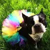 Disfraz Europeo y Americano para Mascota Color Block Oso Salsa Falda Fiesta de Gato Fiesta Disfraz Perro Día de Halloween Falda Salsa
