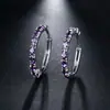 Moda europea y americana personalizada todo partido forma de huevo hebilla de oreja de circón pendiente de mujer hermoso Ruili Disparo en la calle joyería fábrica directa pendientes Ruili