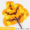 Atmosfera de outono folha de ginkgo realista videira decorativa folha de bordo cenário de vitrine de outono decoração arranjo de cena criação ambiental
